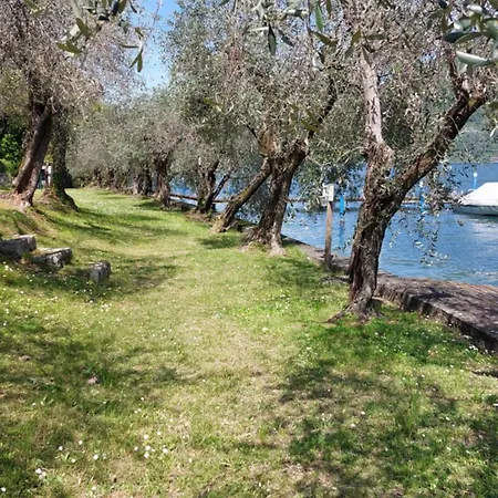 Country Club Montecolo App Elisa Pilzone